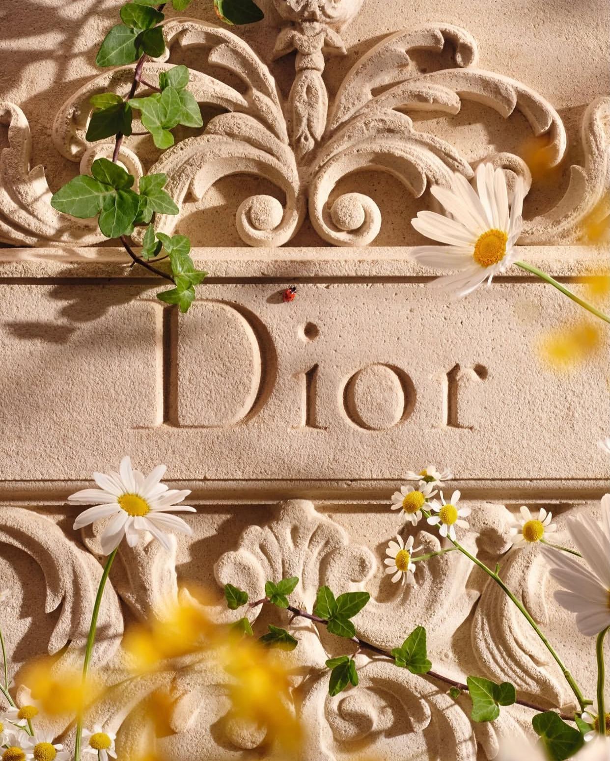 © Dior – Official visual | Source: Instagram @diorbeauty